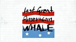 Filmplakat: Last Great American Whale