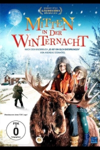 Filmplakat: Mitten in der Winternacht